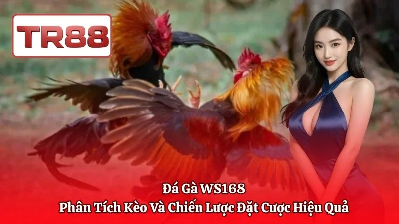 Đá Gà WS168 – Phân Tích Kèo Và Chiến Lược Đặt Cược Hiệu Quả