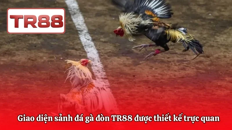 Giao diện sảnh đá gà đòn TR88 được thiết kế trực quan