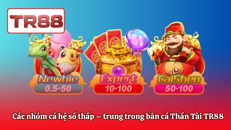 Các nhóm cá hệ số thấp – trung trong bắn cá Thần Tài TR88