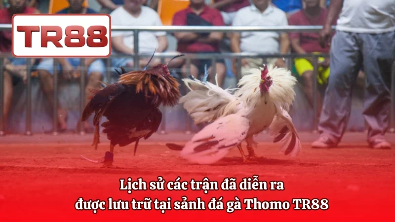  Lịch sử các trận đã diễn ra được lưu trữ tại sảnh đá gà Thomo TR88