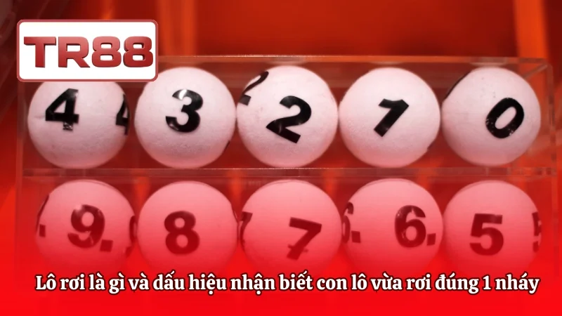 Lô rơi là gì và dấu hiệu nhận biết con lô vừa rơi đúng 1 nháy