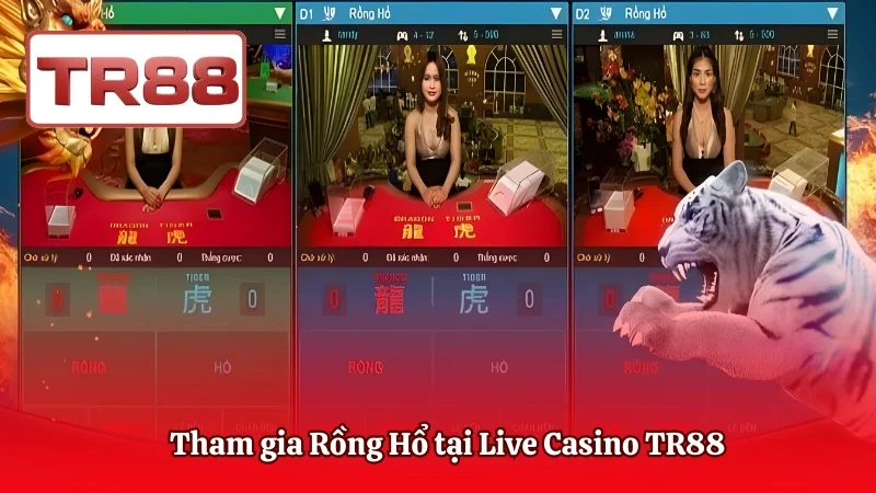 Tham gia Rồng Hổ tại Live Casino TR88