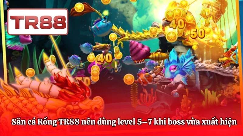 Săn cá Rồng TR88 nên dùng level 5–7 khi boss vừa xuất hiện