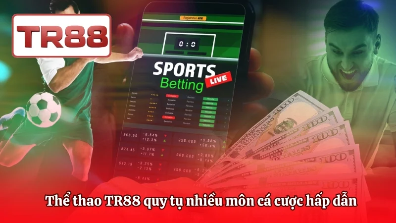 Thể thao TR88 quy tụ nhiều môn cá cược hấp dẫn 