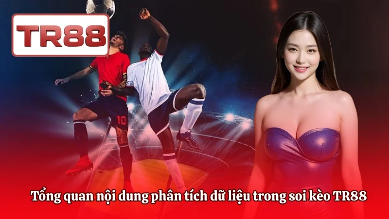 Tổng quan nội dung phân tích dữ liệu trong soi kèo TR88